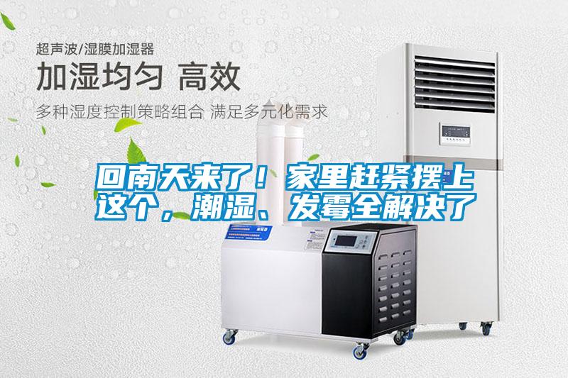 回南天來了！家里趕緊擺上這個，潮濕、發(fā)霉全解決了