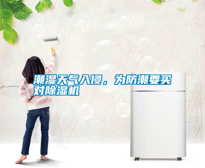 潮濕天氣入侵，為防潮要買對除濕機