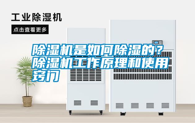 除濕機是如何除濕的？除濕機工作原理和使用竅門
