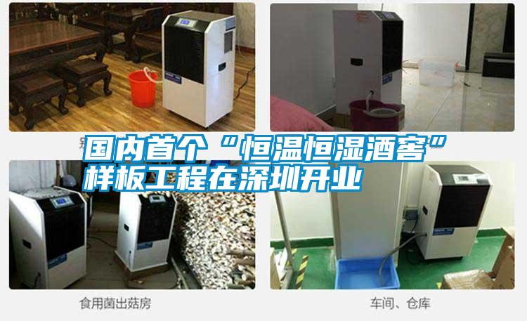 國內首個“恒溫恒濕酒窖”樣板工程在深圳開業(yè)