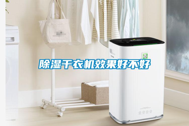 除濕干衣機效果好不好
