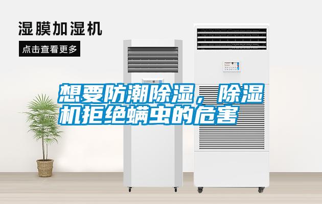 想要防潮除濕，除濕機(jī)拒絕螨蟲(chóng)的危害