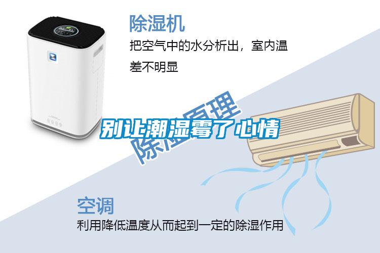 別讓潮濕霉了心情
