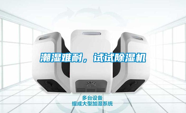 潮濕難耐，試試除濕機