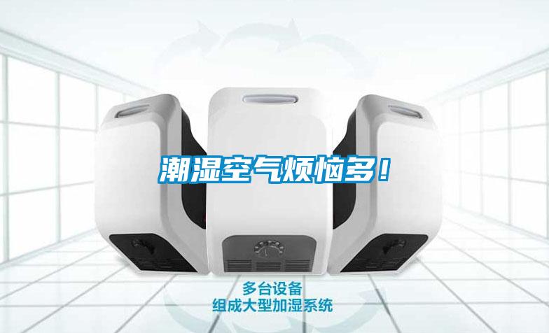 潮濕空氣煩惱多！