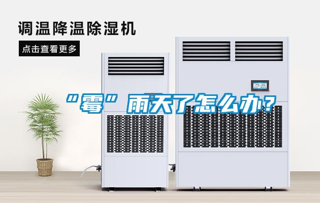 “霉”雨天了怎么辦？
