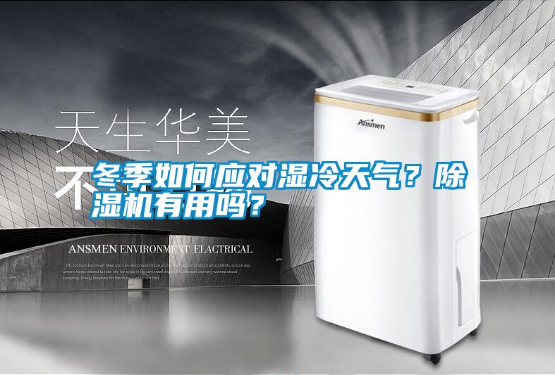 冬季如何應(yīng)對濕冷天氣？除濕機有用嗎？
