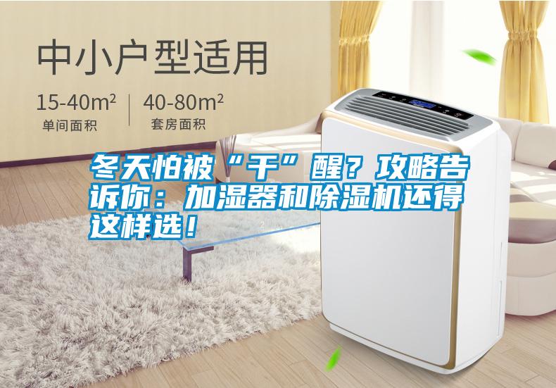 冬天怕被“干”醒？攻略告訴你：加濕器和除濕機還得這樣選！