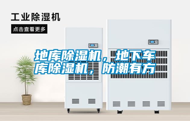 地庫除濕機，地下車庫除濕機，防潮有方