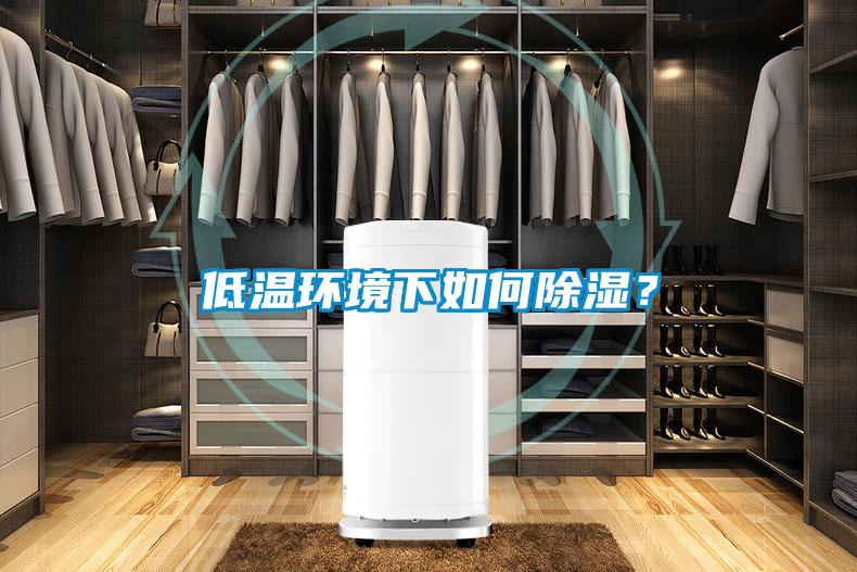 低溫環(huán)境下如何除濕？