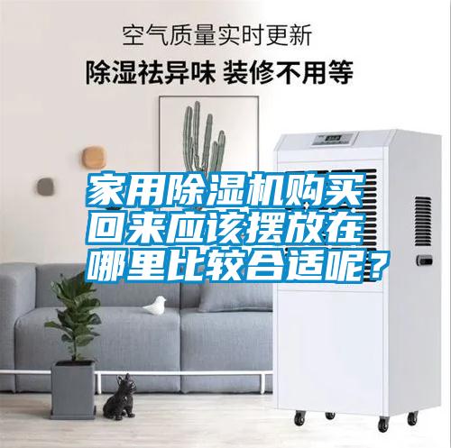 家用除濕機(jī)購(gòu)買回來(lái)應(yīng)該擺放在哪里比較合適呢？