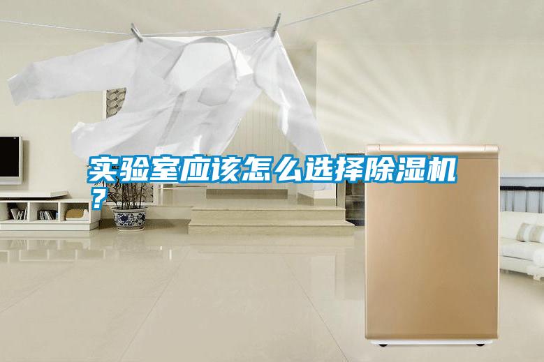 實(shí)驗(yàn)室應(yīng)該怎么選擇除濕機(jī)？