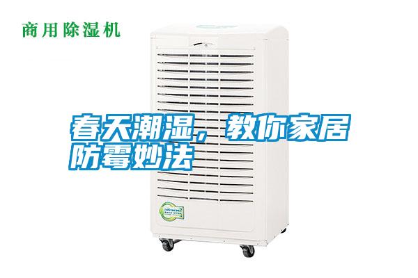春天潮濕，教你家居防霉妙法