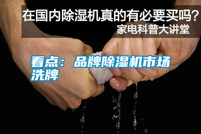 看點(diǎn)：品牌除濕機(jī)市場(chǎng)洗牌