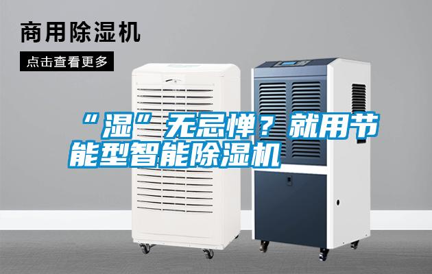 “濕”無忌憚？就用節(jié)能型智能除濕機