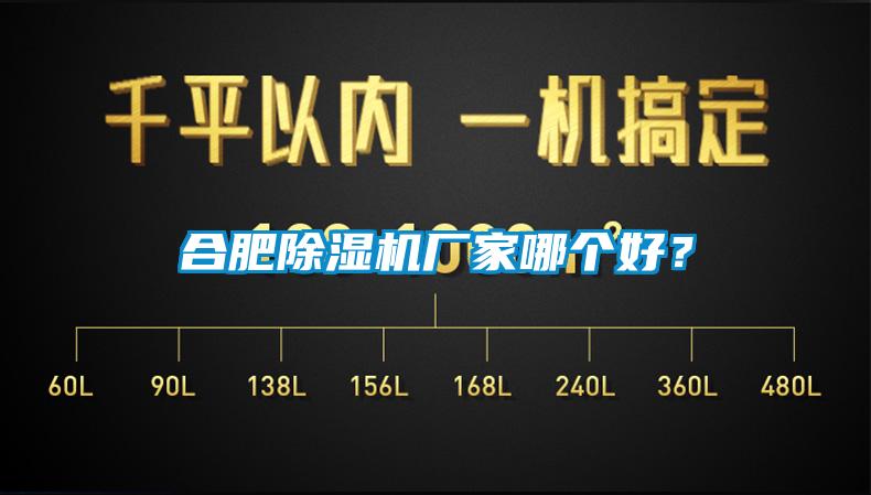 合肥除濕機(jī)廠家哪個(gè)好？