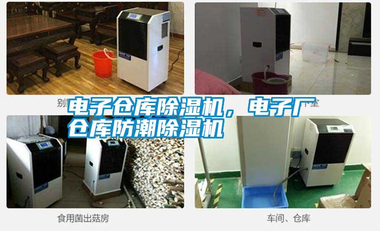 電子倉(cāng)庫(kù)除濕機(jī)，電子廠倉(cāng)庫(kù)防潮除濕機(jī)