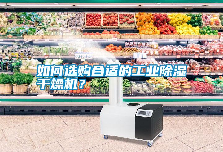 如何選購合適的工業(yè)除濕干燥機？