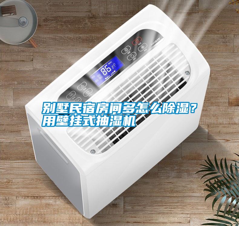 別墅民宿房間多怎么除濕？用壁掛式抽濕機