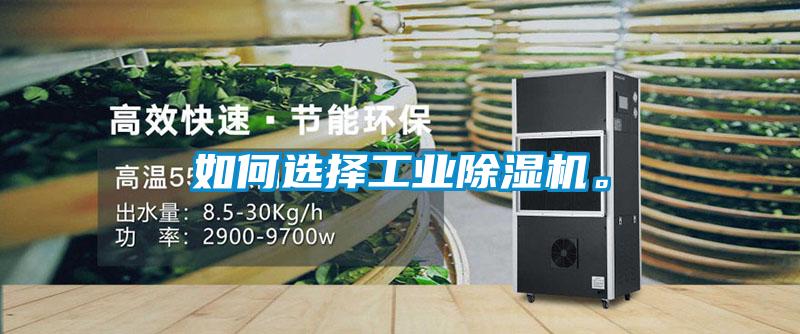 如何選擇工業(yè)除濕機(jī)。