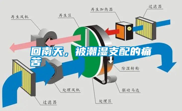 回南天，被潮濕支配的痛苦