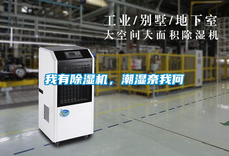 我有除濕機(jī)，潮濕奈我何