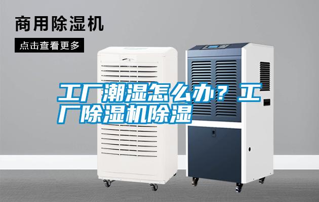 工廠潮濕怎么辦？工廠除濕機除濕