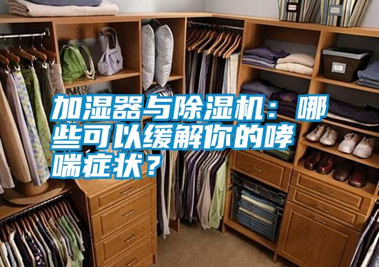 加濕器與除濕機：哪些可以緩解你的哮喘癥狀？