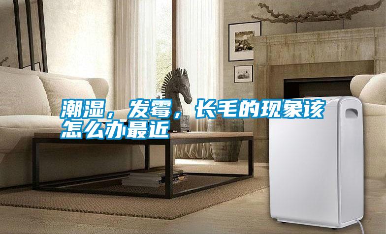 潮濕，發(fā)霉，長毛的現(xiàn)象該怎么辦最近