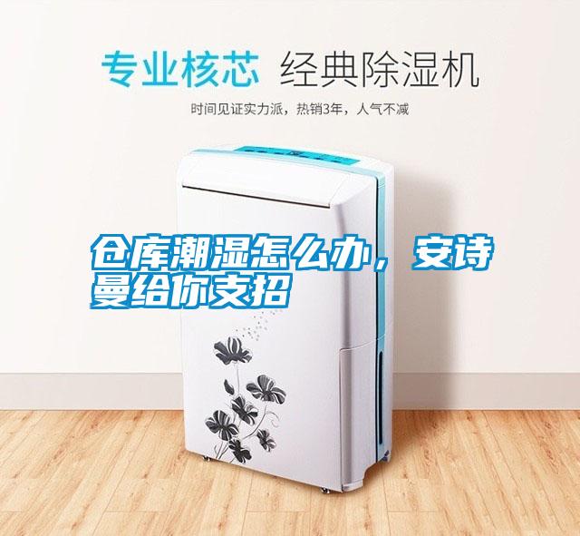 倉庫潮濕怎么辦，安詩曼給你支招
