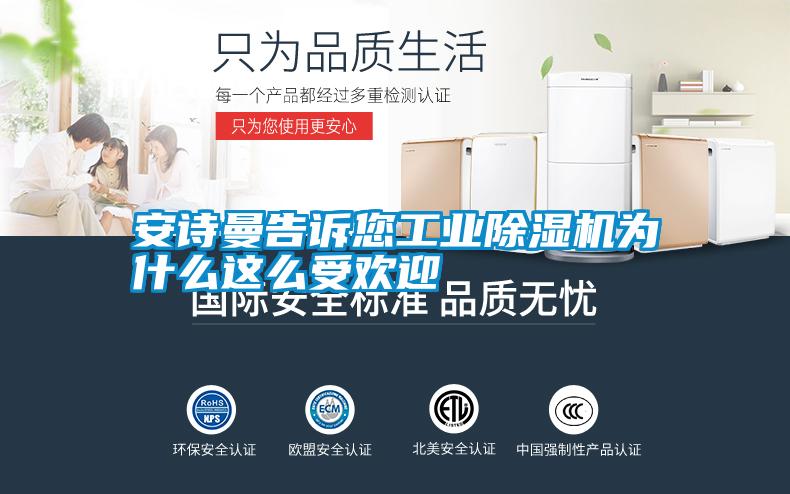 安詩曼告訴您工業(yè)除濕機為什么這么受歡迎