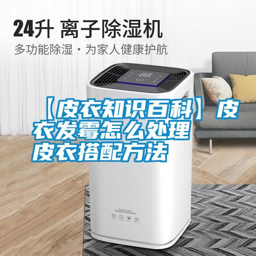 【皮衣知識(shí)百科】皮衣發(fā)霉怎么處理 皮衣搭配方法