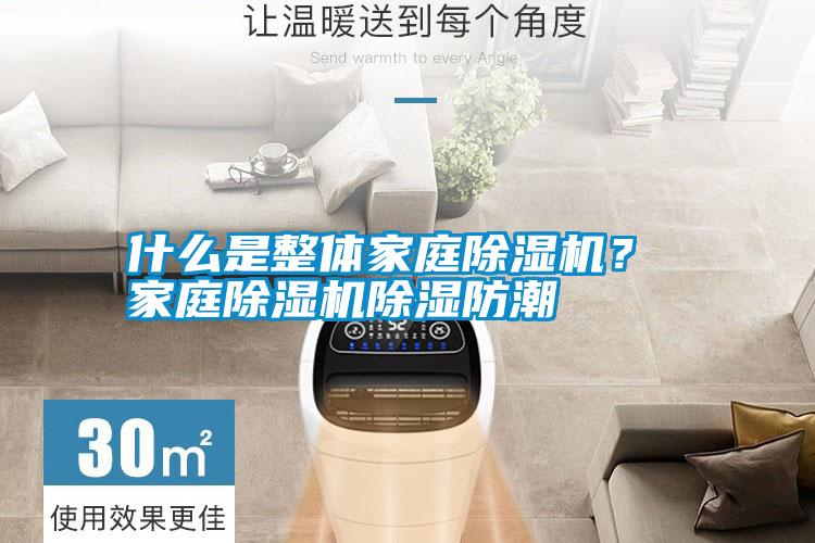 什么是整體家庭除濕機？ 家庭除濕機除濕防潮