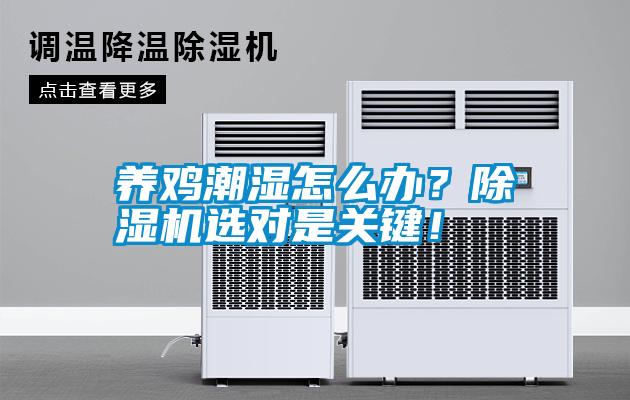 養(yǎng)雞潮濕怎么辦？除濕機(jī)選對(duì)是關(guān)鍵！