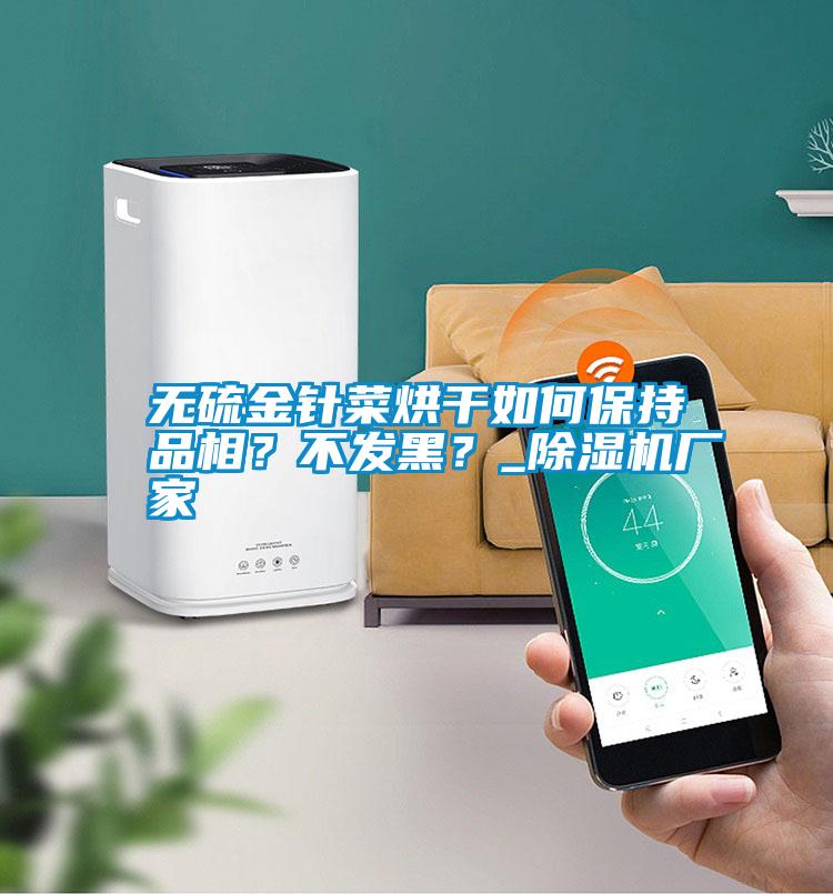無硫金針菜烘干如何保持品相？不發(fā)黑？_除濕機(jī)廠家