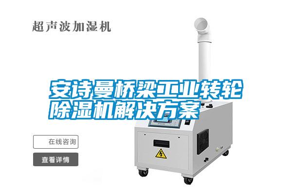 安詩曼橋梁工業(yè)轉(zhuǎn)輪除濕機(jī)解決方案