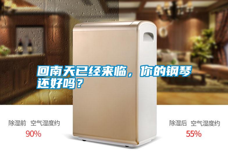 回南天已經(jīng)來臨，你的鋼琴還好嗎？