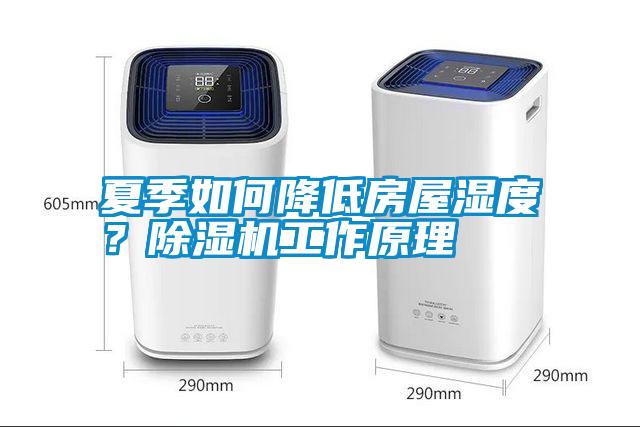 夏季如何降低房屋濕度？除濕機工作原理