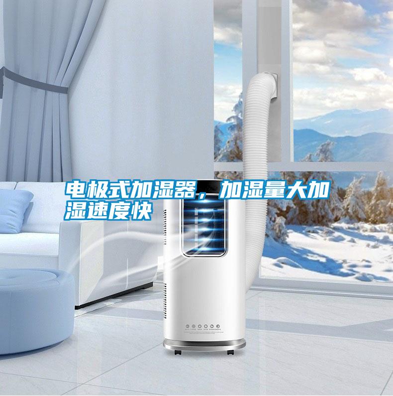 電極式加濕器，加濕量大加濕速度快