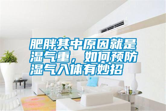 肥胖其中原因就是濕氣重，如何預(yù)防濕氣入體有妙招