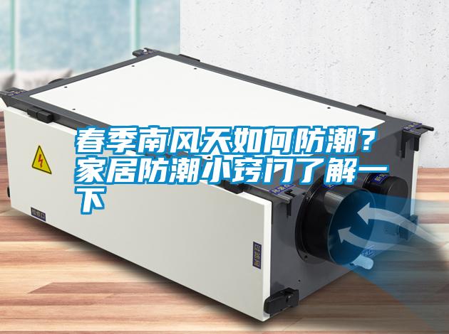 春季南風天如何防潮？家居防潮小竅門了解一下