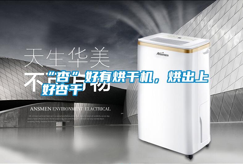 “杏”好有烘干機，烘出上好杏干
