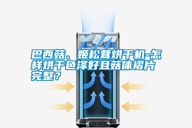 巴西菇、姬松茸烘干機(jī)-怎樣烘干色澤好且菇體褶片完整？