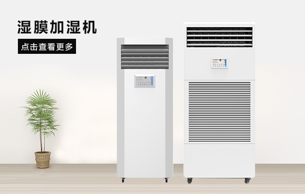 梅雨季，各種東西發(fā)霉了，該怎么辦？如何除霉除霉味？