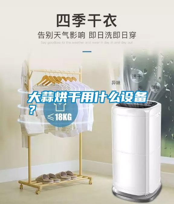 大蒜烘干用什么設(shè)備？