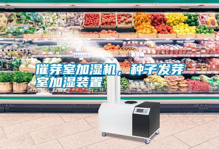 催芽室加濕機(jī)，種子發(fā)芽室加濕裝置