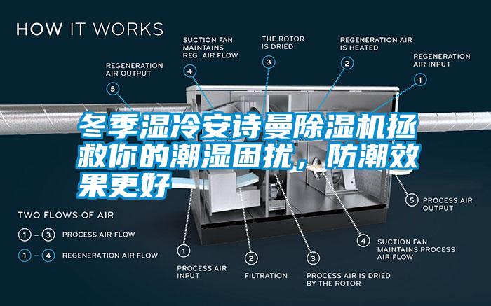 冬季濕冷安詩曼除濕機(jī)拯救你的潮濕困擾，防潮效果更好