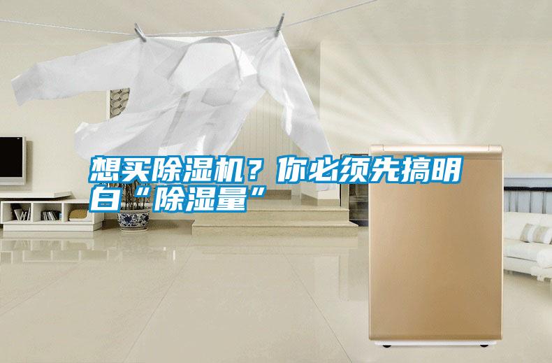 想買除濕機(jī)？你必須先搞明白“除濕量”