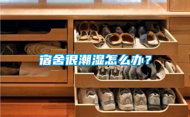 宿舍很潮濕怎么辦？