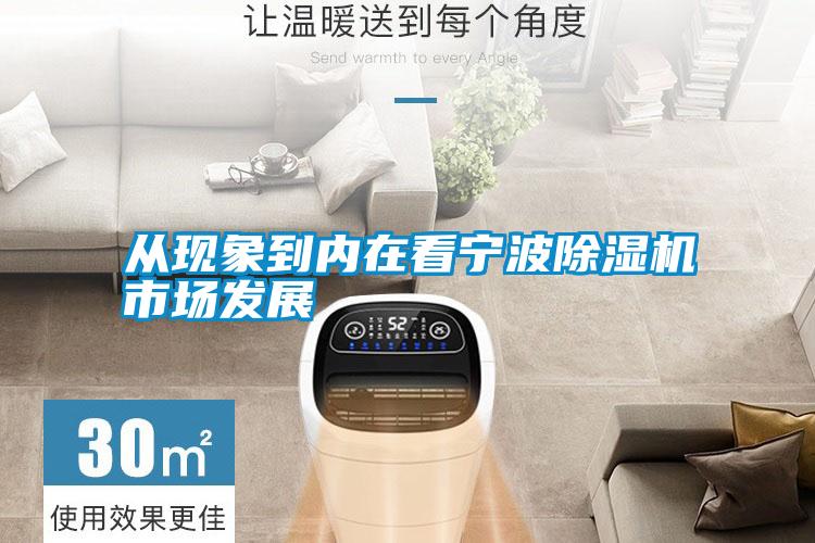 從現(xiàn)象到內(nèi)在看寧波除濕機(jī)市場發(fā)展
